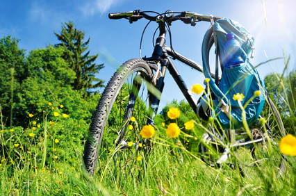 zeigt ein Mountainbike in einer Blumenwiese im Schwarzwald