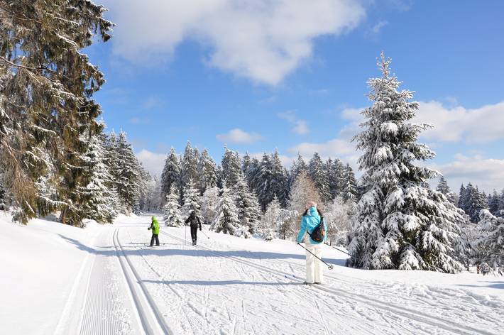 zeigt Personen beim Langlauf-Ski fahren in Schneelandschaft