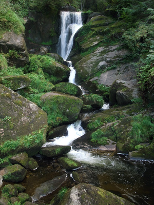 zeigt die Triberger Wasserfälle mitten im Wald
