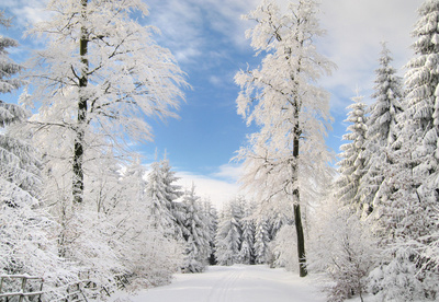 Bild zeigt verschneite Winterlandschaft im Seewaldgebiet